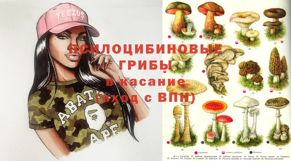 spice Арсеньев