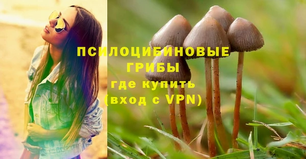spice Арсеньев