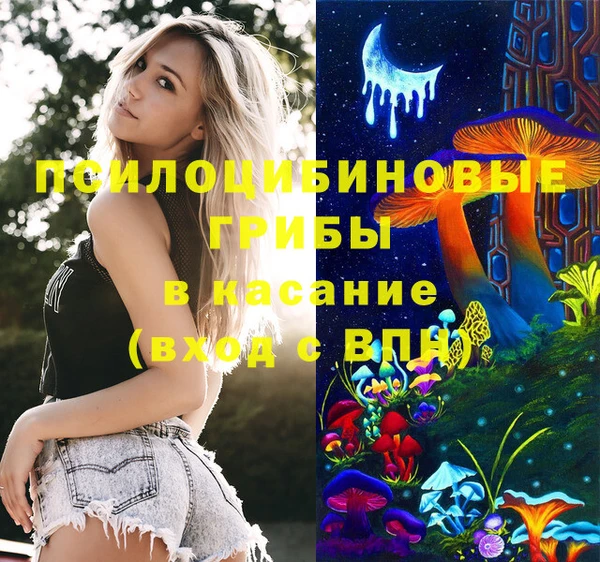 spice Арсеньев