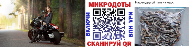 Псилоцибиновые грибы ЛСД  Купить закладки  Верхоянск 