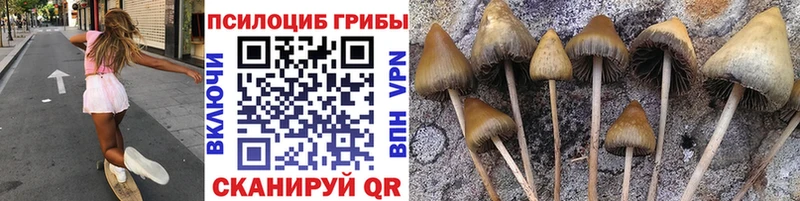 Псилоцибиновые грибы Cubensis Верхоянск